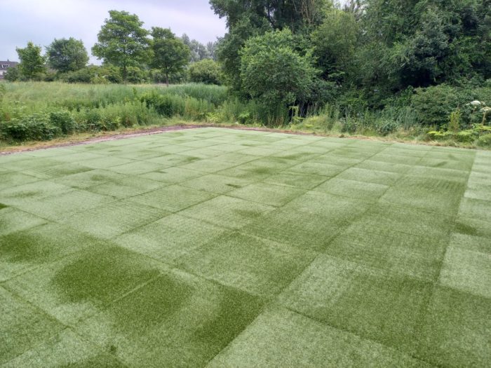 Bos Outdoor/indoor Grass Tile 25mm - Afbeelding 4