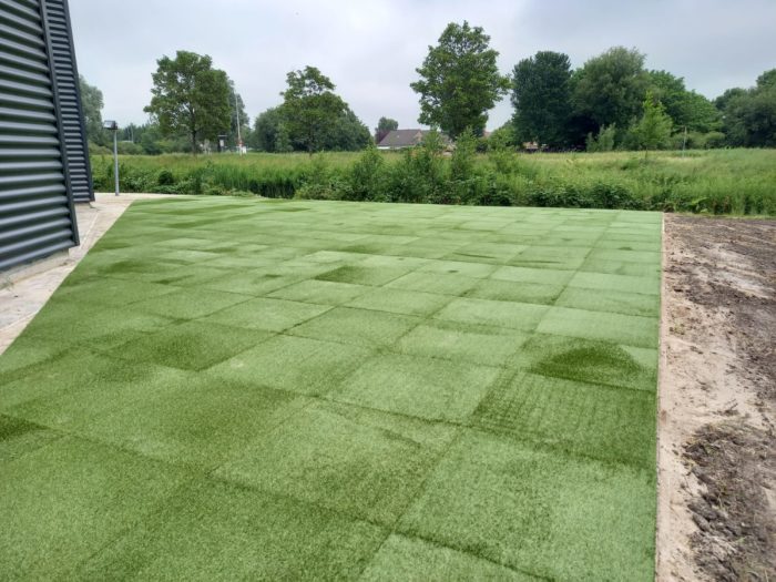 Bos Outdoor/indoor Grass Tile 25mm - Afbeelding 5