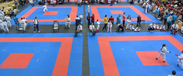 Bos Tatami Puzzelmat 26mm rood/blauw - Afbeelding 6